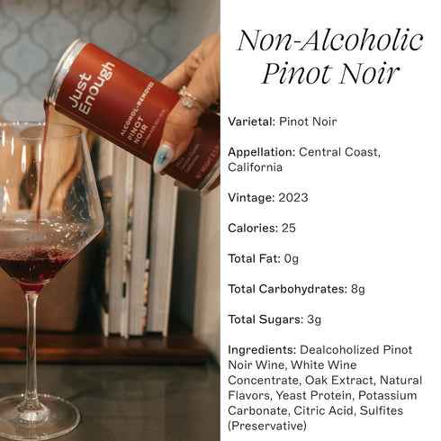 6 Pack Just Enough Wines Pinot Noir Alcohol Removed | Non-Alcoholic Red Wine, Cans | Central Coast California, Low