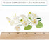 1 Count Cherry Blossom Sugar Flower Spray Gumpaste Flowers for Cakes Handmade Cake Decorations Sakura Floral Topper