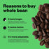 Counter 12 Culture Coffee - Whole Bean Coffee - Freshly Roasted Coffee Beans - Premium Coffee - Multiple Flavors - One