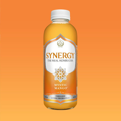16 oz Immune SYNERGY The Real Kombucha - Mystic Mango - fl Bottle - Raw Probiotic Drink for Gut Health and Support