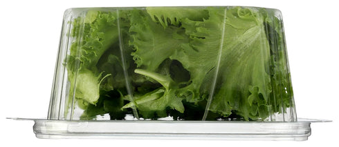 Little Leaf Farms 4 Crispy Baby Locally grown, Green Leaf Lettuce, Ounce