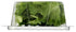 Little Leaf Farms 4 Crispy Baby Locally grown, Green Leaf Lettuce, Ounce
