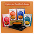 Pack 6 (300 10.58 oz Food Earth Hug in a Bowl Soup, of g Each), Vegan & Gluten-Free, Ready-to-Eat Five Lentil Soup