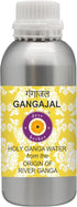 dve herbes Gangajal Holy Ganga Water from The Origin of River Ganga
