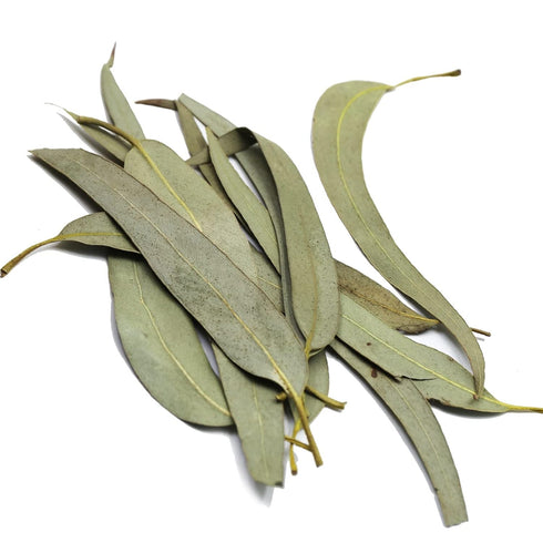 4oz/114g FullChea - Dried Eucalyptus Leaves - - Hojas de Eucalipto - Premium Chinese Dried Eucalyptus Herb Whole Leaf