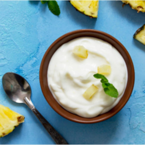 Good Gut Tribe Freshly Fermented - Organic Vegan Soya Yoghurt Starter