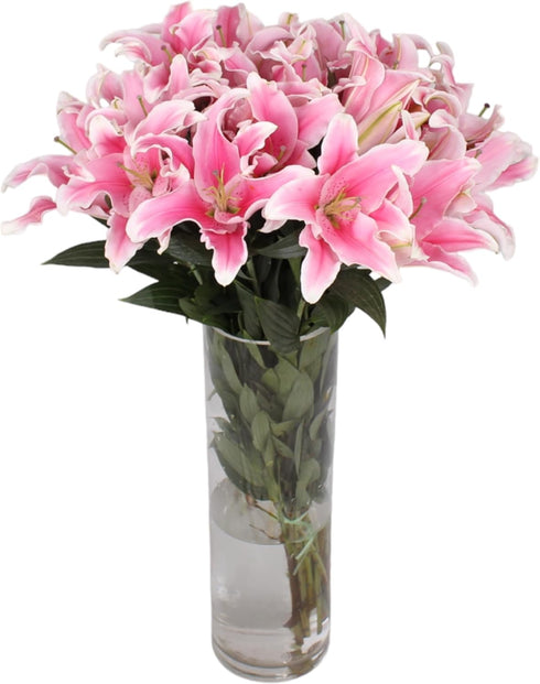 10 Stem Pink Giant Lilies Fresh Cut Flower Bouquet Very Fragrant Gifts for home decoration birthdays anniversaries