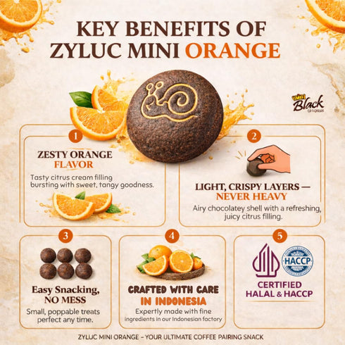 35g Pack Pack 5 Zyluc Mini Black Crackers Orange Flavored Snack with Cocoa & Citrus Blend On-the-Go Crisp Texture
