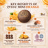 35g Pack Pack 5 Zyluc Mini Black Crackers Orange Flavored Snack with Cocoa & Citrus Blend On-the-Go Crisp Texture