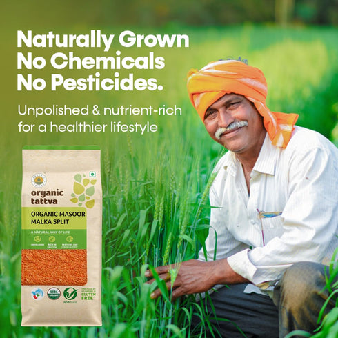 500gms, Organic Tattva Masoor Dal Malka Split Red Lentils for Everyday Cooking Masoor Dal, Soups, and Indian Meals