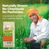 500gms, Organic Tattva Masoor Dal Malka Split Red Lentils for Everyday Cooking Masoor Dal, Soups, and Indian Meals