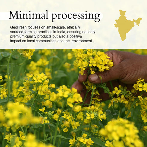 1.76 oz Geo-Fresh Organic Yellow Mustard Powder - Dry Mustard Powder for Cooking - Ground Yellow Mustard Seed - Stone