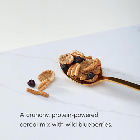 14 oz (Pack 6), Nature's Path Organic Optimum Power Blueberry Cinnamon Flax Cereal, of Non-GMO