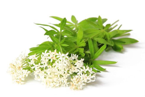 Health Embassy Sweet Woodruff Herb | Galium Odoratum L | Herbal Tea, 50g