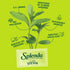 SPLENDA Stevia Zero Calorie Sweetener, Plant Based Granulated Powder for Baking, 9.7oz Resealable Pouch
