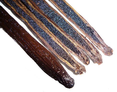 10 Comoros Vanilla Beans Whole Grade A Vanilla Pods for Homemade Vanilla Extract, Baking, Ice Cream, Flavoring