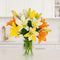 BloomsyBox 10 Stem Multicolor Asiatic Lilies (Glass Vase Included) Fresh Flowers for