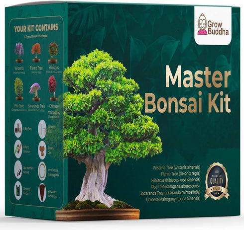 Green Grow Buddha Master Bonsai Tree Growing Kit - Professional Growing and