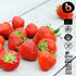 Organic Freeze Dried Strawberry Powder, 6oz, Rich in Fiber for Smoothies, Baking, and Flavoring