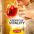100 Lipton Black Tea Bags, Hot or Iced High Caffeine Tea, Total Bags