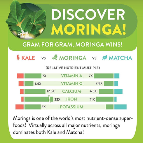 Moringa Ginger Lemon Tea – 28 tea bags (Keto, Detox, Paleo, Vitamin & Minerals Booster, Vegan, Gluten-Free,