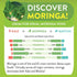 Moringa Ginger Lemon Tea – 28 tea bags (Keto, Detox, Paleo, Vitamin & Minerals Booster, Vegan, Gluten-Free,