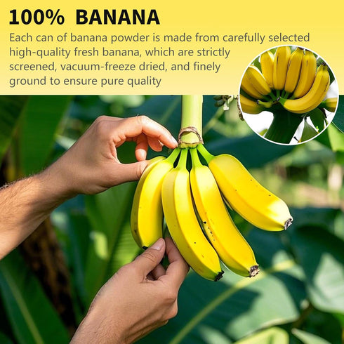 8.82OZ Banana Powder, Freeze Dried Banana Powder, Freeze Dried Fruit, No Added or Sugar, Suitable for Baking, Oatmeal