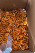 Generic 1lb Camaron Seco Shelled Whole Shrimp