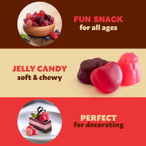 1 Gummies Berry Jelly Candy Mix Pound Bag | Vegan with Real Fruit Puree | Assorted Berry Flavors | Gelatin Free Plant