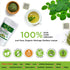 Organic Veda Moringa Tea Bags - 100% Pure Organically Grown Moringa Powder, Rich in Vitamins, 60 Tea Bags