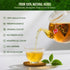 12Pcs Tea-10 5g/Bag,Kidney& MQUPIN Dandelion Wolfberry Herbal Ingredients Blend, Liver Health Tea,Goji Berry