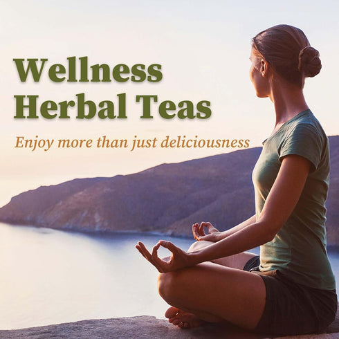50 Count, 2g/bag Immunity FullChea - Yarrow Tea Bags, - Premium Yarrow Herb - Non-GMO - Caffeine-free - Aid Digestion