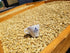 2 (Pack 1) Alto Grande Super Premium Coffee Beans, Medium Dark Roast, Single Origin, Puerto Rico Arabica, Whole Bean
