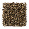 WHF Jasmine Green Tea, Premium Dragon Pearl Tea, Naturally Scented, Hand-Rolled Loose