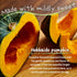 3 Packs (3 2.8oz) (3 2.8oz, x GMO-Free Japanese Steamed Bun Sorghum Flour Mix Gluten-Free Microwaveable x Pumpkin)