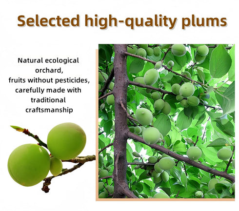 MKSDDF-250g/8.82oz Salty and Sour Plum Chinese Dried Plums Preserved Fruit Prunes Salted Plums Salty and Sweet Dried