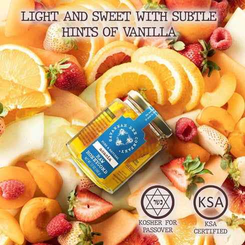 Pure Acacia Honey in Hex Jar by Savannah Bee Company