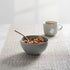 14 20g Omega-3 (Pack 4) Nature's Path Organic Flax Plus Raisin Bran Cereal, Ounce, Non-GMO, Whole Grains, with Rich