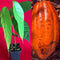 Genuine Protection TRINITARIO Theobroma Cacao Cocoa Chocolate Fruit Tree Potted Plant RED Medium