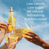 25.4 TOST Rose Sparkling White Tea, Ginger and Elderberry, FZ