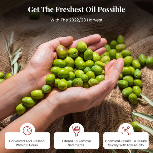 OILALA 707 2024/25 500ml (16.9 Oz) Extra Virgin Olive Oil, Robust Flavor, High Polyphenols, mg/kg High Hydroxytyrosol
