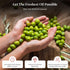 OILALA 707 2024/25 500ml (16.9 Oz) Extra Virgin Olive Oil, Robust Flavor, High Polyphenols, mg/kg High Hydroxytyrosol