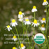 Allegro Coffee 20 Allegro Tea, Organic Peaceful Slumber Tea Bags, ct