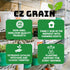 7 Beta Bucks John Bamboo Willow Bonsai Forest Willow Bonsai Cuttings for DIY Mini Tree Garden, Fast Rooting Live Plant