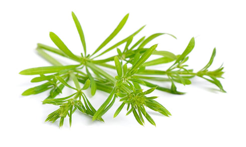 Cleaver Herb 4 oz, Galium Aparine Dried Leaf C/S from 100% Nature