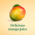 52oz SIMPLY MANGO JUICE DRINK