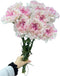 Fresh Cut Flowers Yukarri cherry Carnations 38 Stems Hydroponic Flower Arrangement Gifts