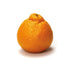 Fresh Produce Sumo Mandarins