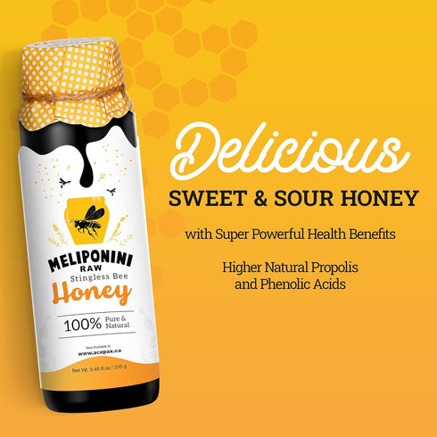 335 Meliponini - Stingless Bee Honey, Antioxidant-Rich & Raw, A Powerful Alternative to Manuka, Tasty, Pure, Sweet