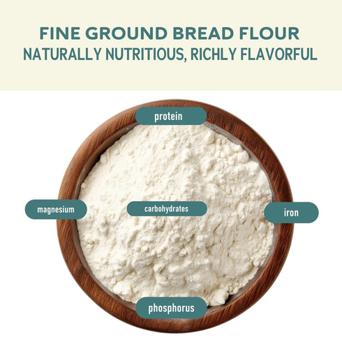 100% 5 lbs Fairhaven Mill Fine Ground Whole Wheat Bread Flour - USDA Organic Certified and Whole Grain - Superior